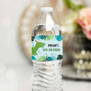 Dinosaur Invitation, Dinosaur Water Bottle Label Dinosaur Birthday, T-Rex Dino Birthday Green Invitation