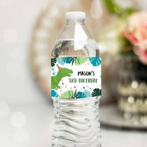 Dinosaur Invitation, Dinosaur Water Bottle Labels, Dinosaur Birthday, T-Rex Dino Birthday Green Invitation