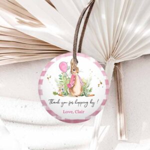 Bunny Invitation, Flopsy Rabbit Favor Tags, Bunny Thank You Round Girl Pink Birthday Invitation