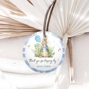 Bunny Invitation, Peter Rabbit Favor Tag, Bunny Thank you Tags Round Boy Birthday Invitation