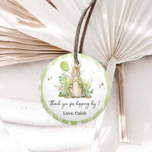Bunny Invitation, Peter Rabbit Favor Tags, Bunny Thank you Tags Round Boy Birthday Invitation