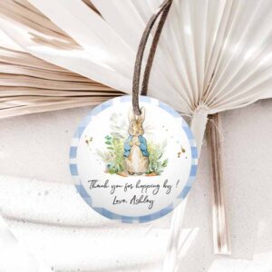 Bunny Invitation, Peter Rabbit Favor Tags, Tags Bunny Thank you Tags Round Boy Invitation