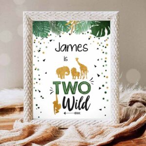 Two Wild Invitation, Two Wild Birthday Safari Animals Zoo Jungle Party, Second Birthday Invitation