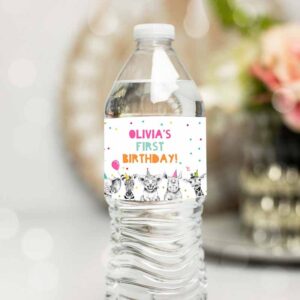 Wild One Invitation, Water Bottle Label Party, Animals Birthday, Wild One Birthday Safari Invitation