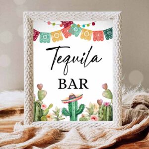 Fiesta Invitation, Tequila Bar Fiesta Table Sign Mexican Drinks Cactus Succulent Birthday, Baby Invitation