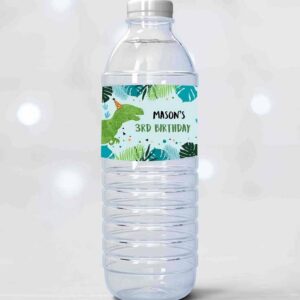 2 editable dinosaur water bottle label dinosaur birthday t rex dino birthday decor green blue prehistoric dino printable template corjl 0389 1