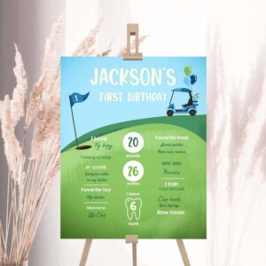 2 editable golf birthday milestone sign hole in one golf first birthday boy 1st golf court golf party decor template printable corjl 0405 1