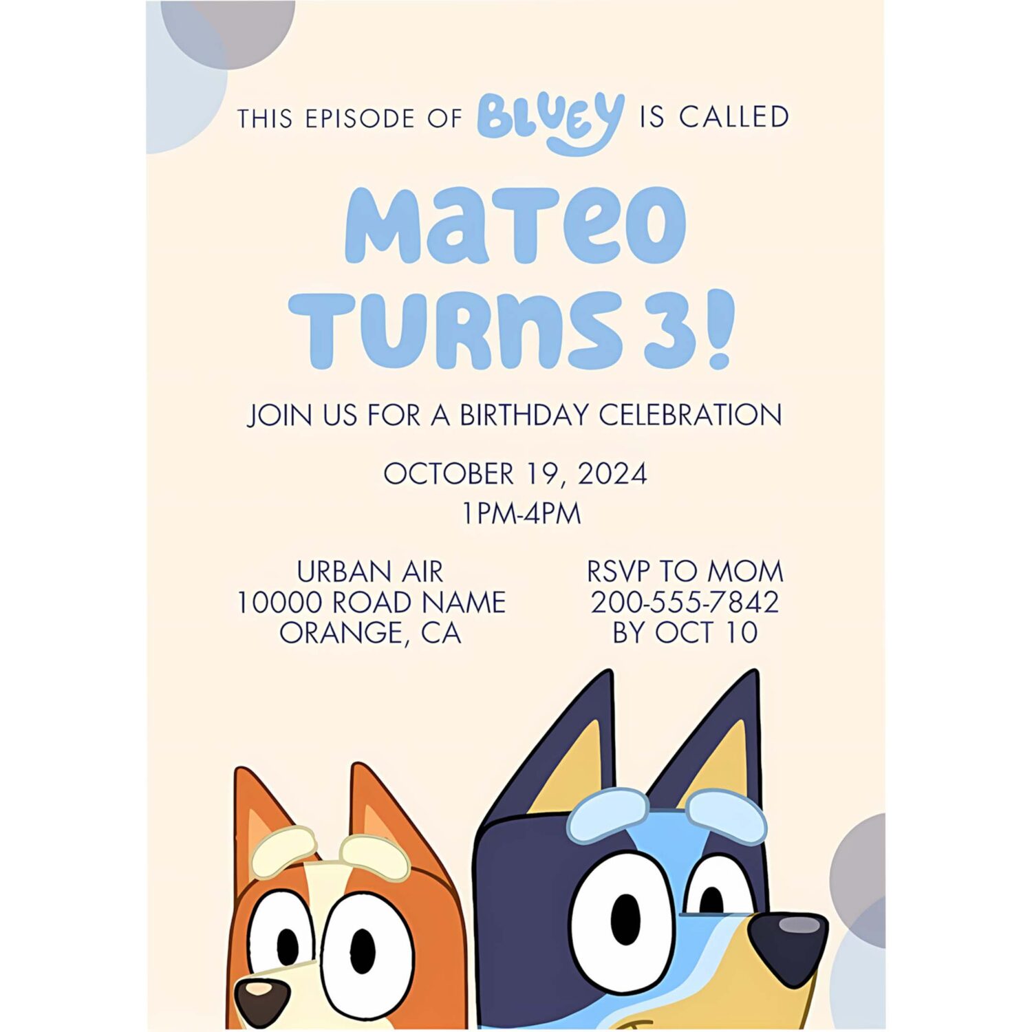 Bluey episode birthday invitation bluey birthday invitation 4