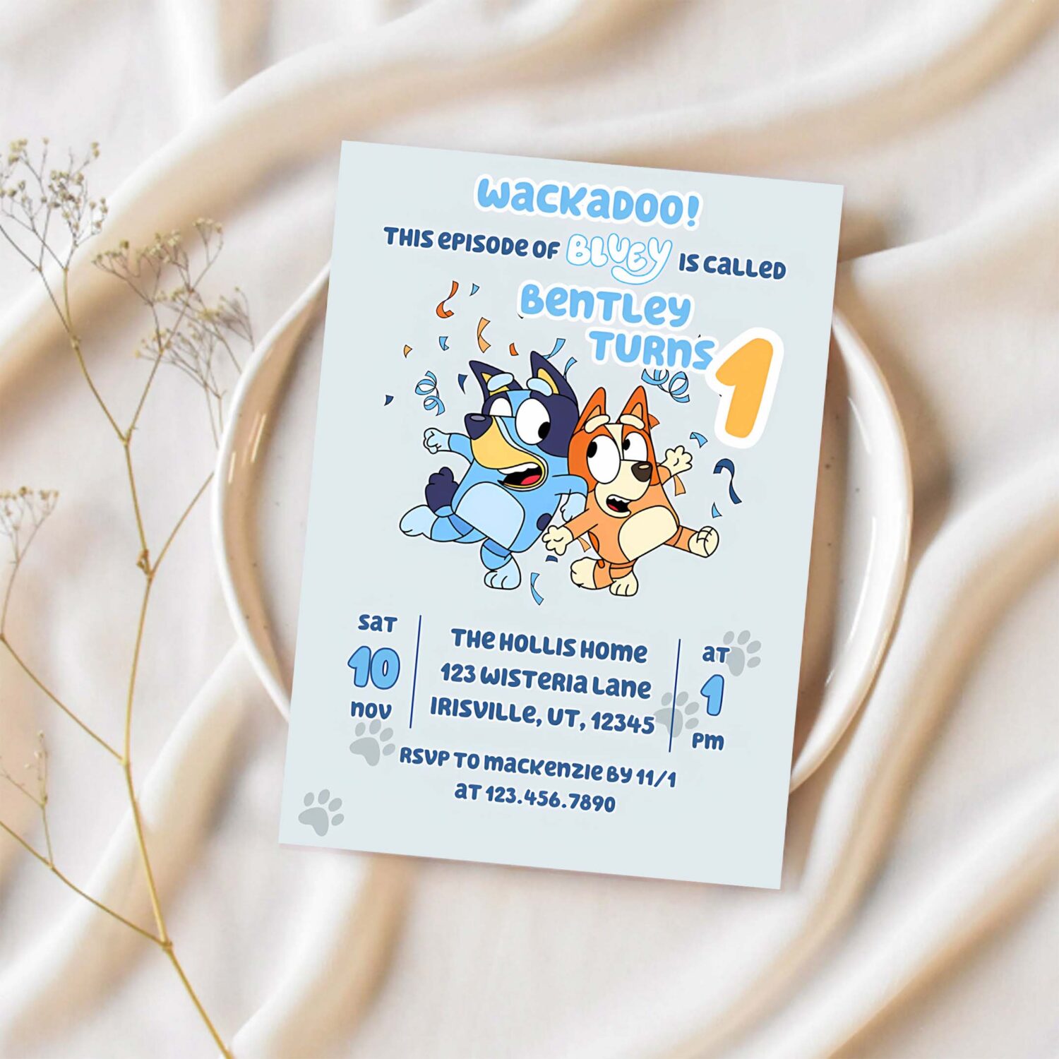 Bluey wackadoo birthday party invitation 1