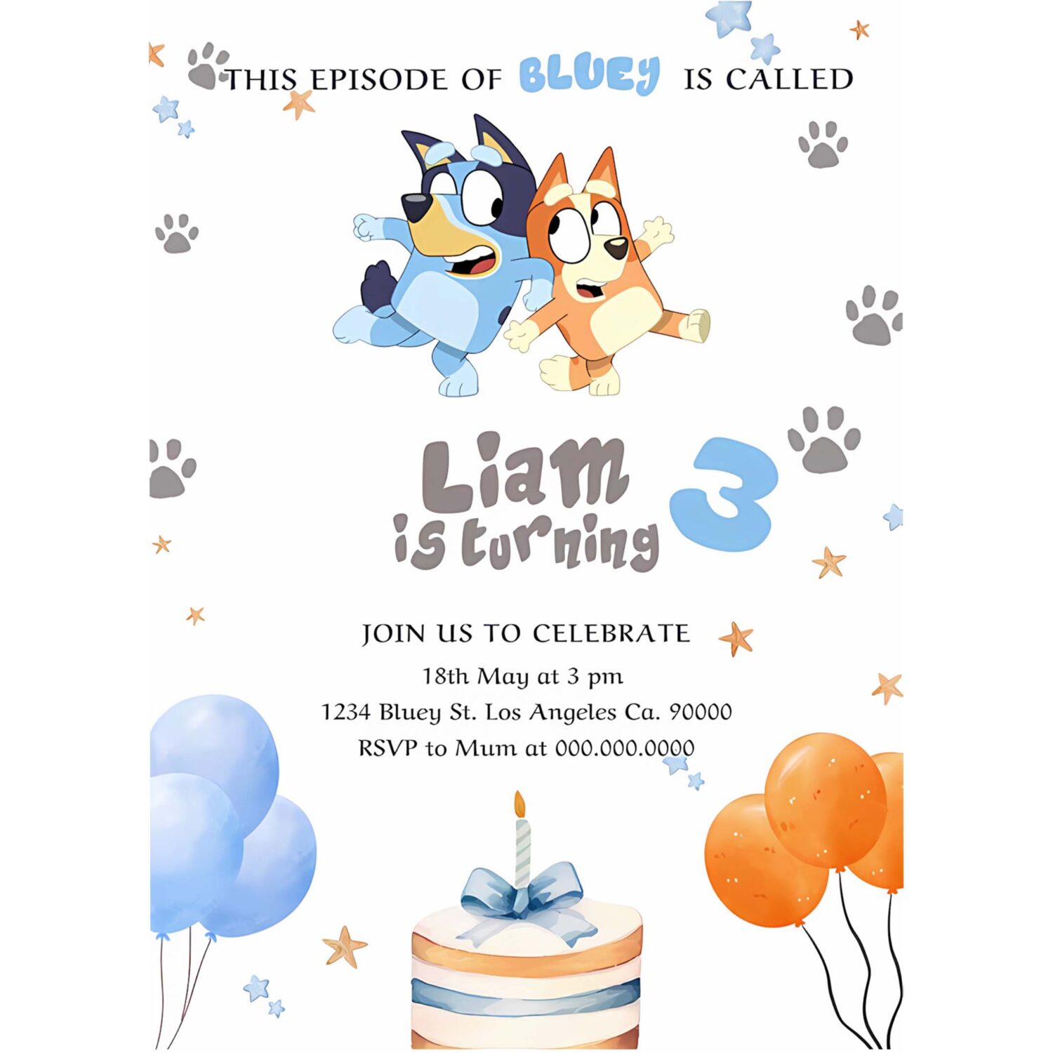 Bluey and bingo bluecake birthday party invitation h58b 4